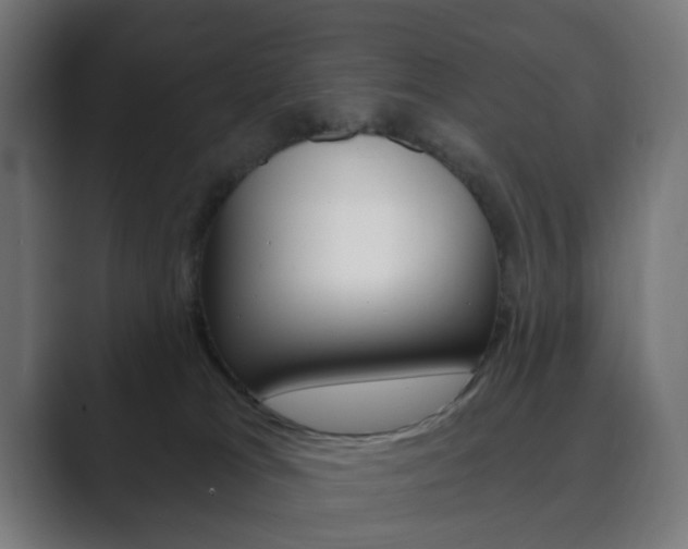 X0000089850037200706281029
