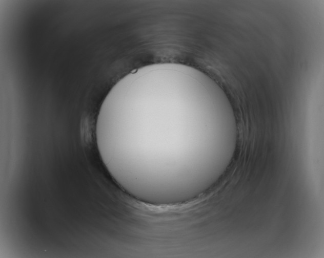 X0000089850038200706281029