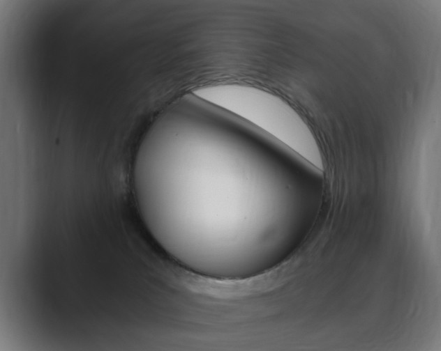 X0000089850039200706281029