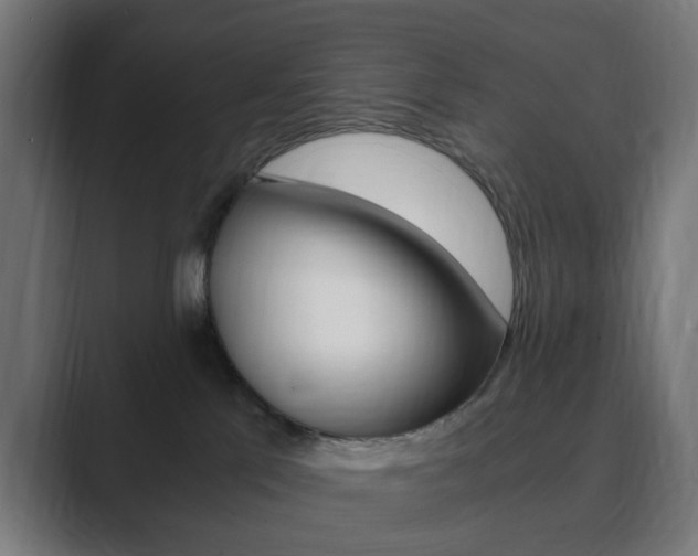 X0000089850041200706281029