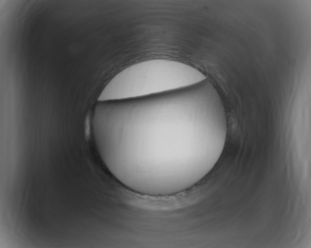 X0000089850042200706281029