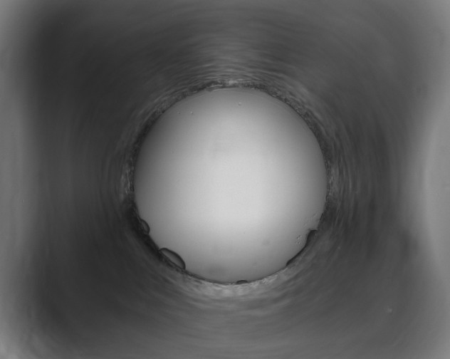 X0000089850043200706281029