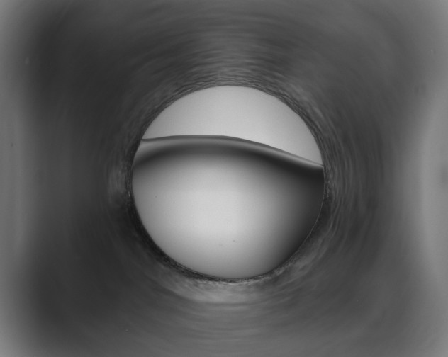 X0000089850044200706281029