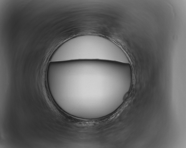X0000089850049200706281029