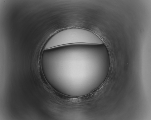 X0000089850050200706281029