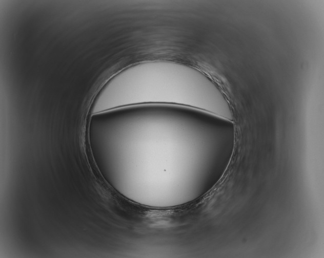 X0000089850051200706281029