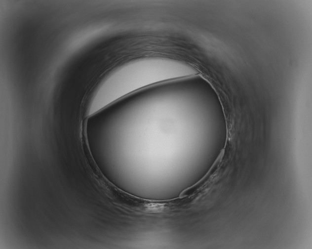 X0000089850052200706281029