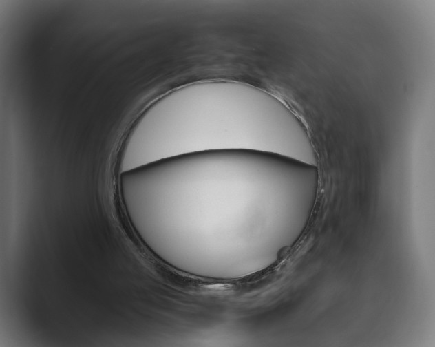 X0000089850053200706281029