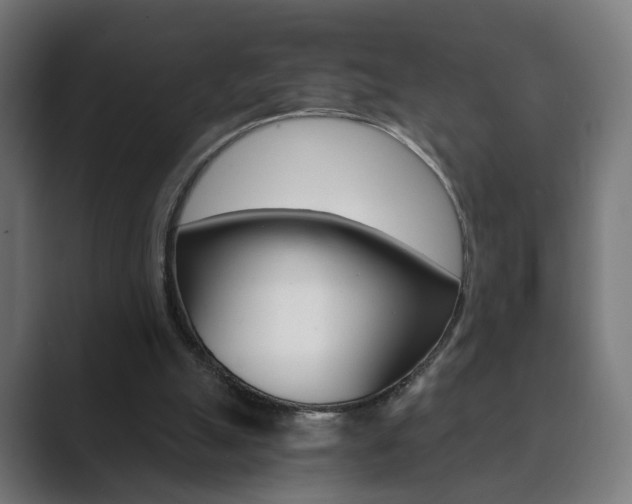 X0000089850055200706281029