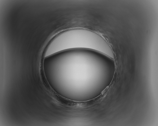 X0000089850056200706281029