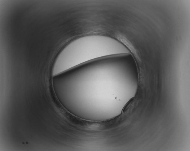 X0000089850058200706281029