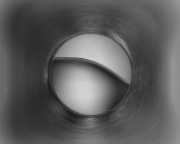 X0000089850059200706281029