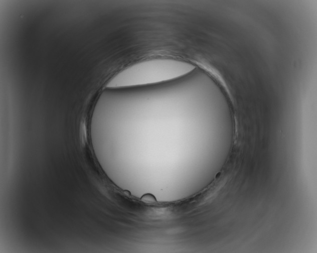 X0000089850061200706281029