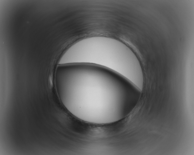 X0000089850062200706281029