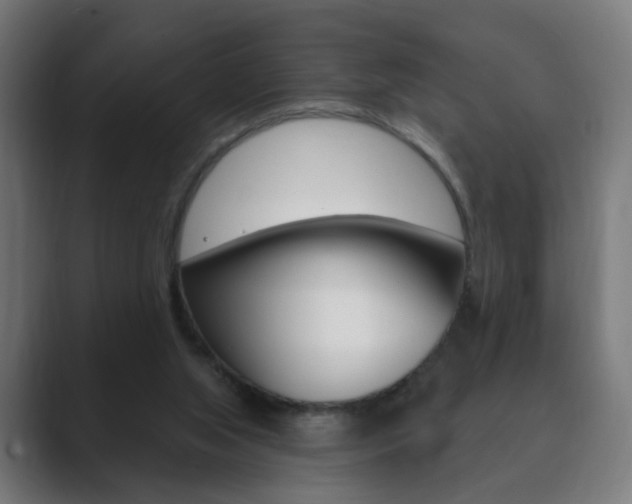 X0000089850063200706281029