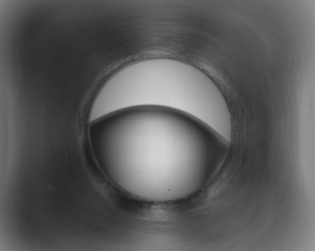 X0000089850064200706281029