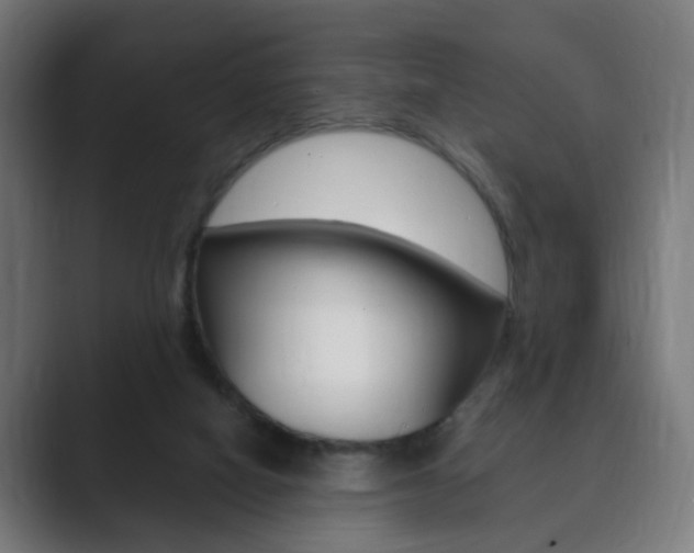 X0000089850066200706281029