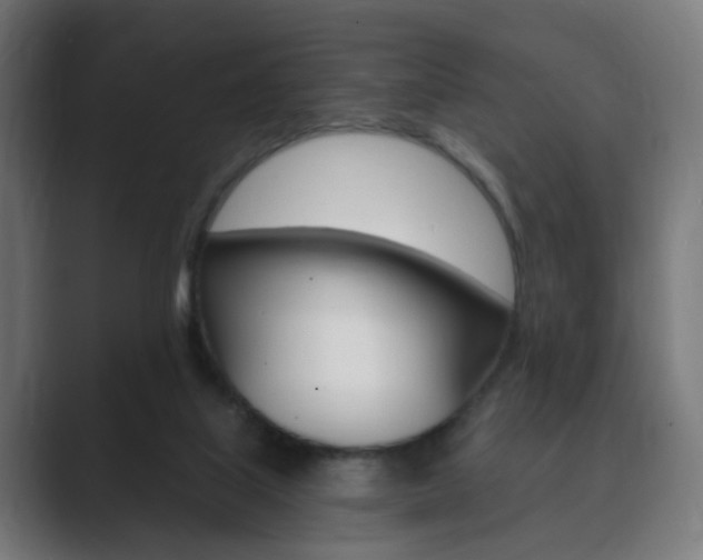 X0000089850067200706281029