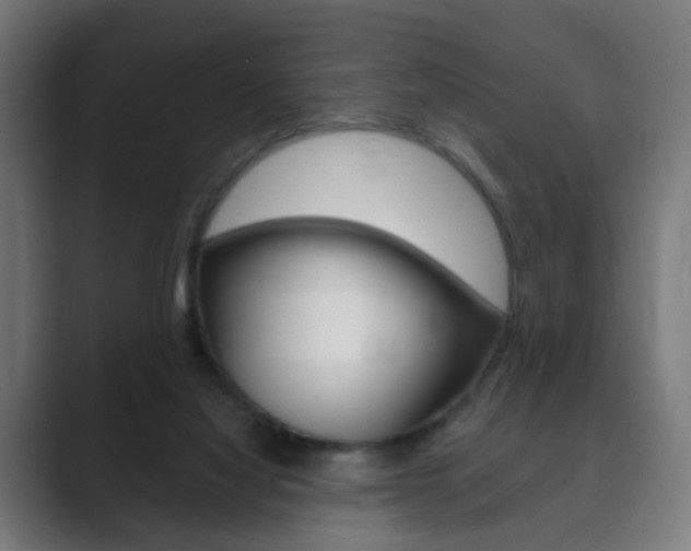 X0000089850068200706281029