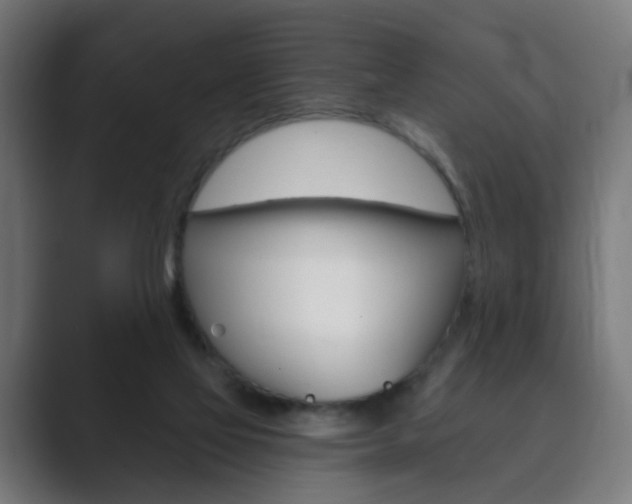 X0000089850069200706281029