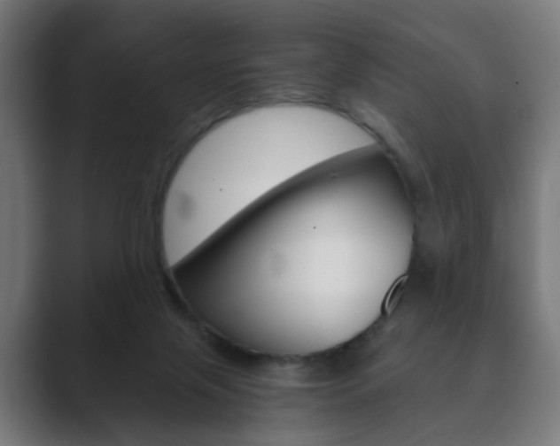 X0000089850071200706281029