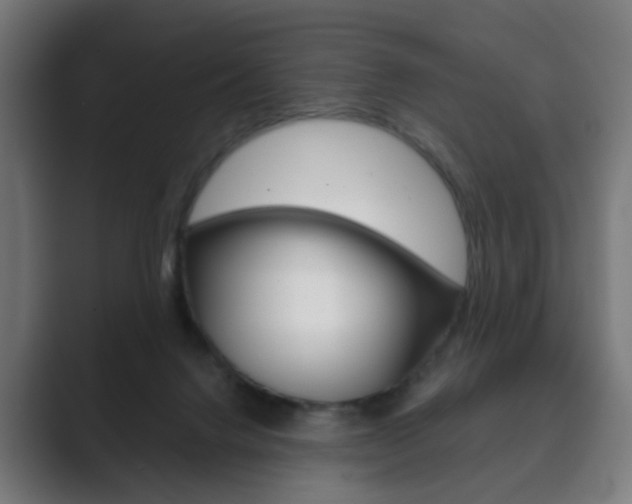X0000089850072200706281029