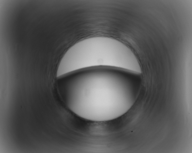 X0000089850077200706281029