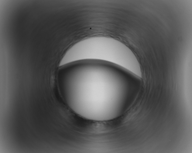 X0000089850080200706281029