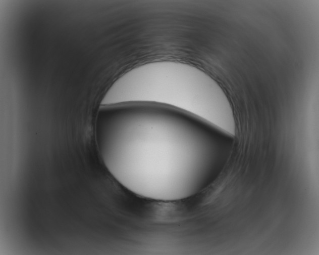 X0000089850085200706281029