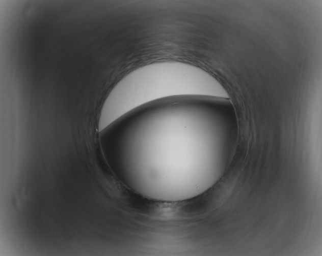 X0000089850088200706281029