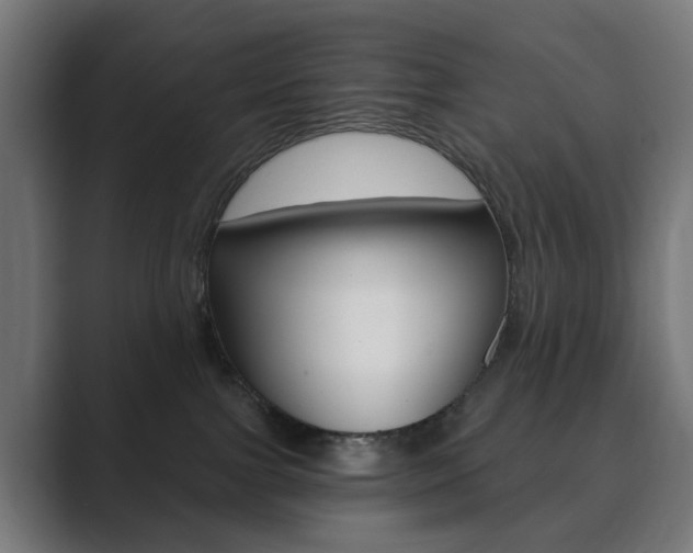 X0000089850091200706281029