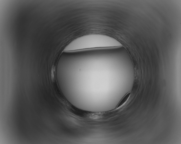 X0000089850094200706281029