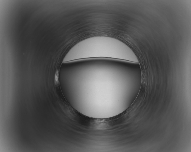 X0000089850095200706281029