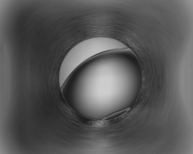 X0000089850096200706281029