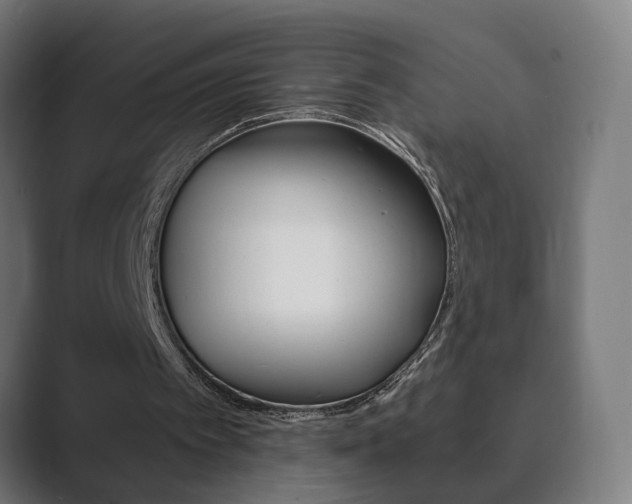 X0000089850097200706281029