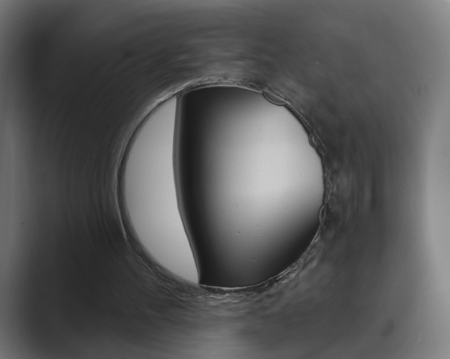 X0000089850100200706281029