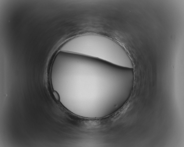 X0000089850102200706281028