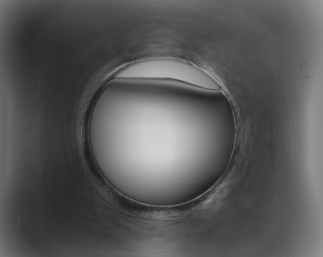 X0000089850103200706281028