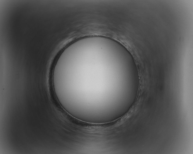 X0000089850104200706281028
