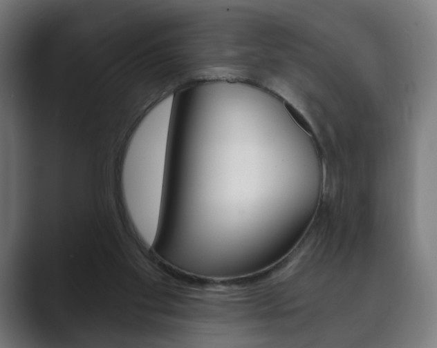 X0000089850109200706281028