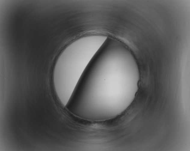 X0000089850111200706281028