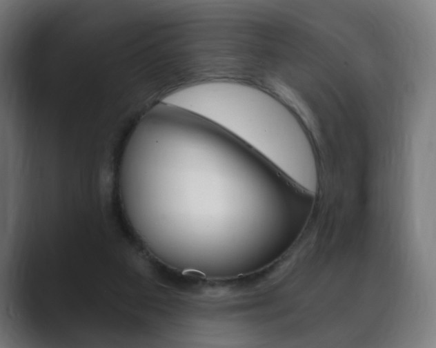 X0000089850113200706281028