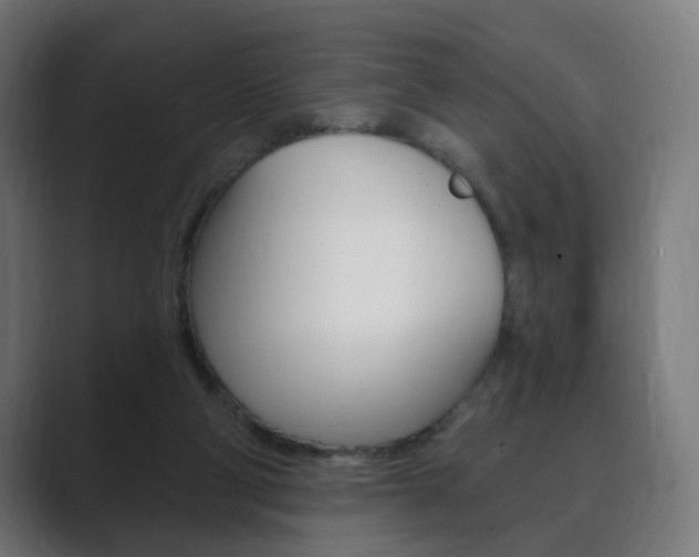 X0000089850114200706281028