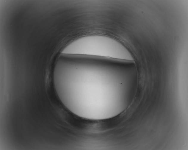 X0000089850116200706281028