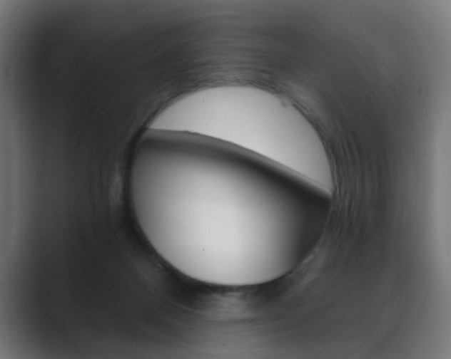 X0000089850120200706281028
