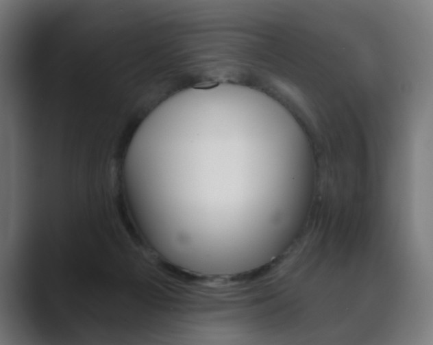 X0000089850121200706281028