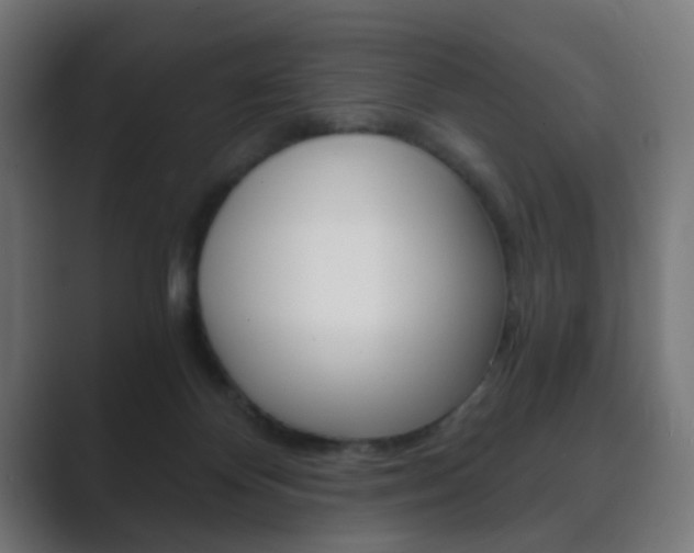X0000089850124200706281028