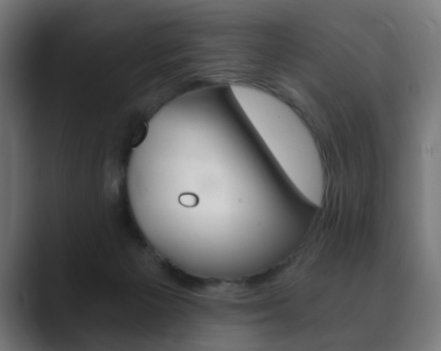 X0000089850125200706281028