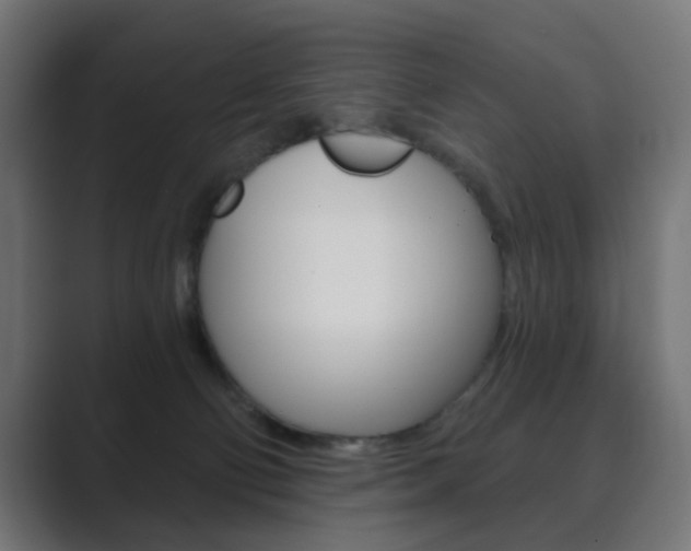 X0000089850130200706281028