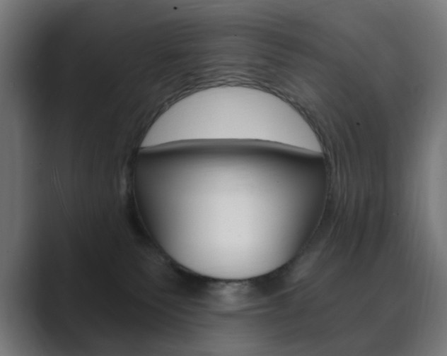 X0000089850135200706281028